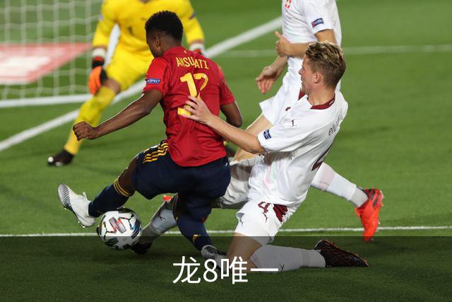 龙8唯一公司简介